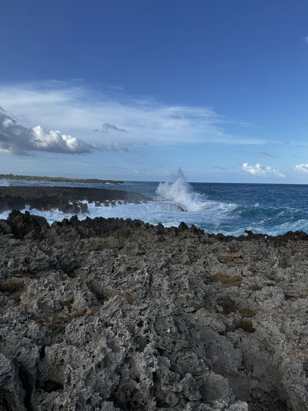 Ocean surf breaking against rugged rocks along The Cove coastline